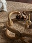 Detail van de Bamboo Bracelet Sofa Table van Dusty Deco. Fotografie: Erik Lefvander/Living Inside.